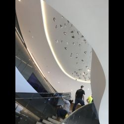 IMG 0975