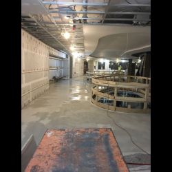 IMG 0941